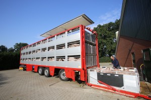 Vrachtwagen biggen inladen varkenshandel Frans ter haar