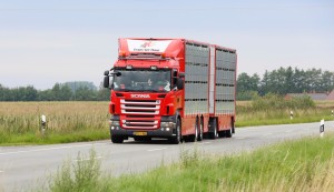 Vrachtwagen transport varkenshandel veehandel Frans ter Haar Reutum
